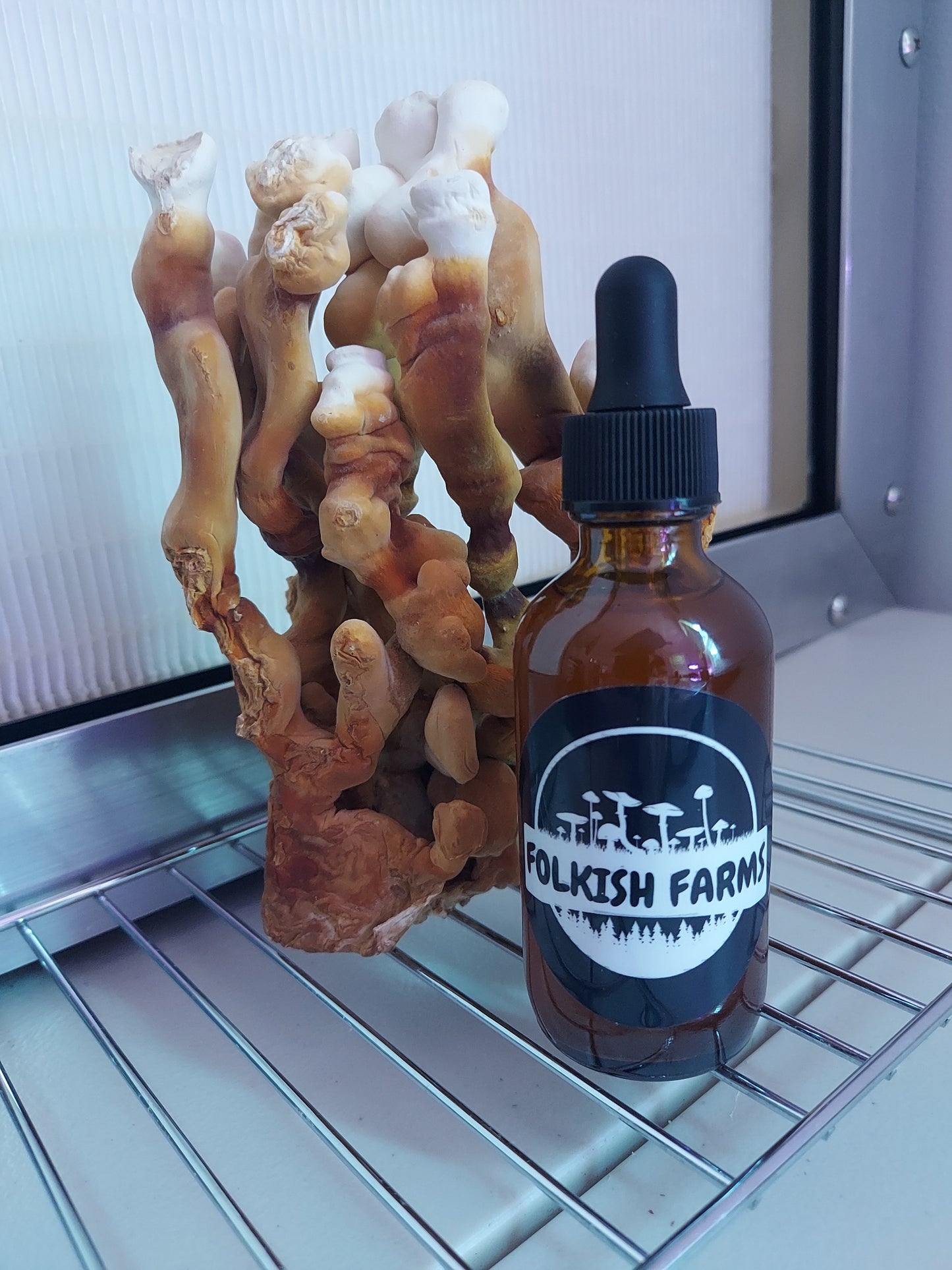 Reishi Tincture