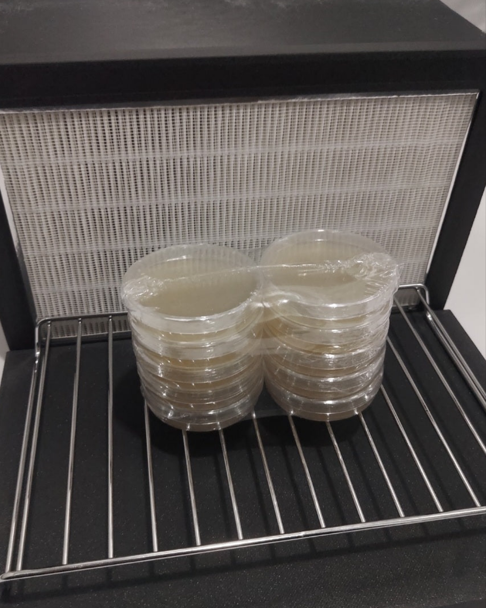 Agar Plates