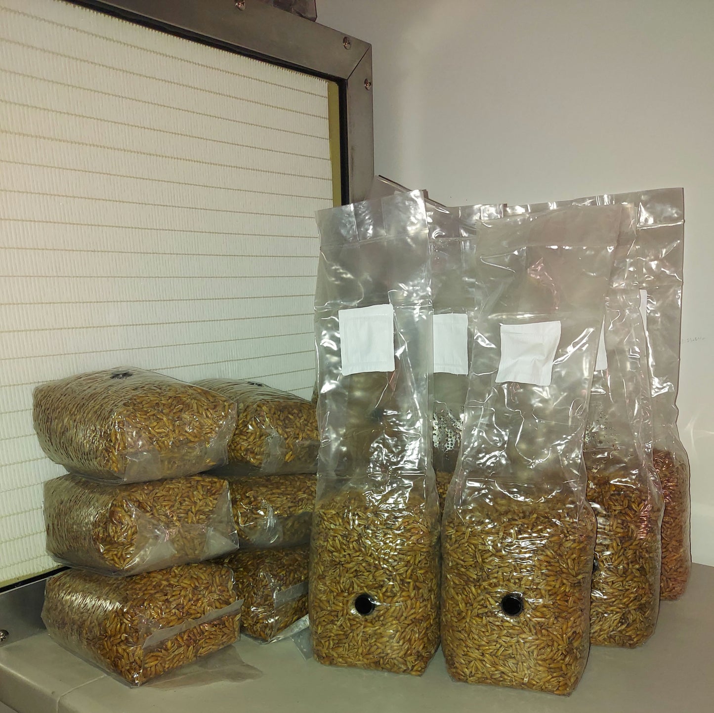 Sterile Grain Bag