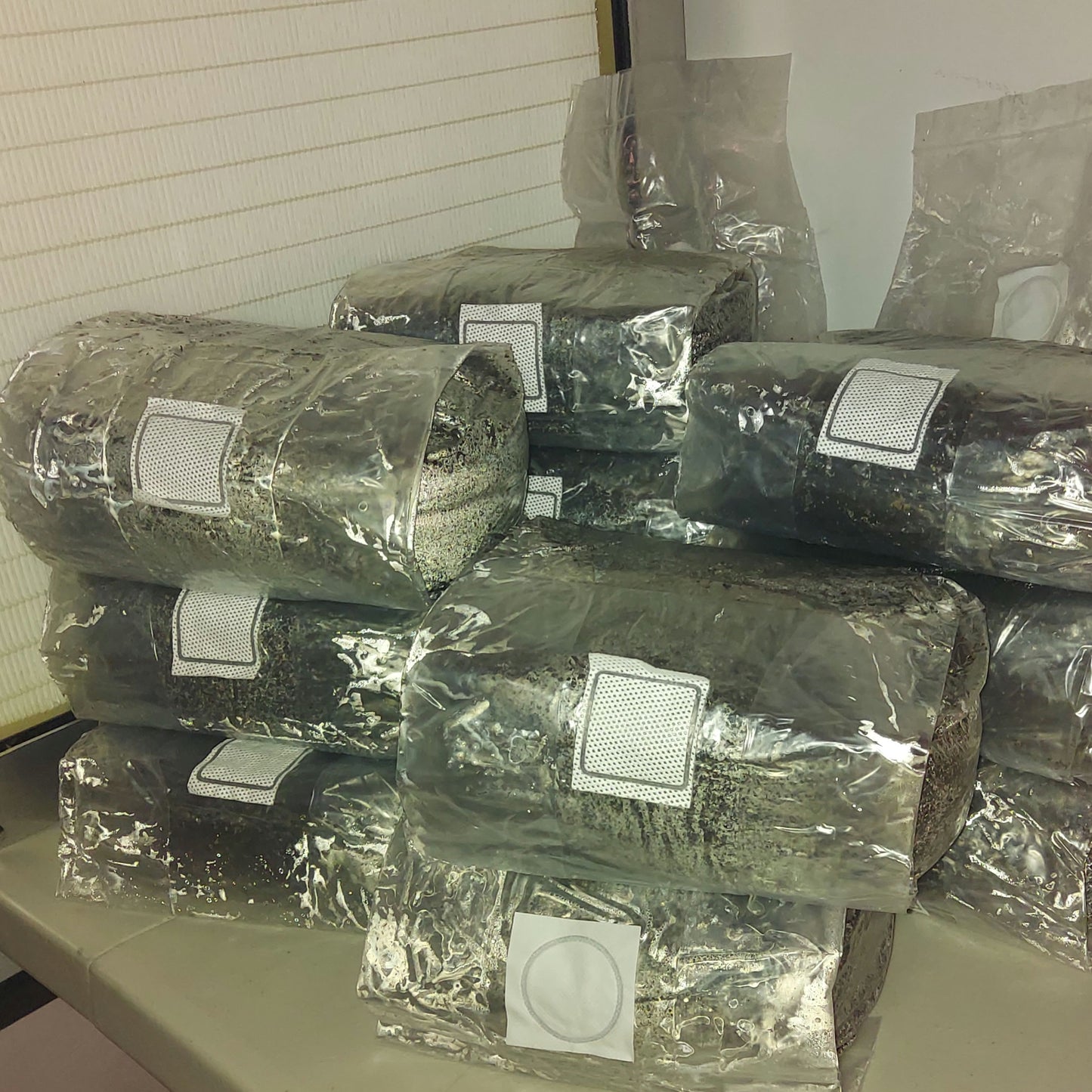 CVG Substrate Bag